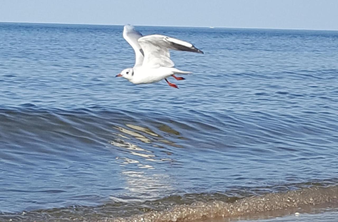 Perfektmari * Swinoujscie